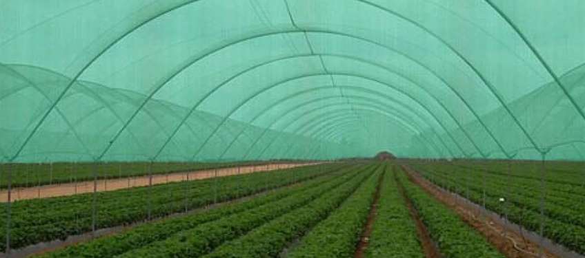 Use Of Agro Shade Plastic Net